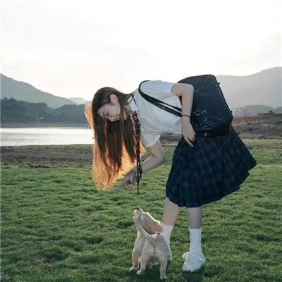 山上的玫瑰
